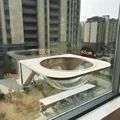 Large Acrylic Nest