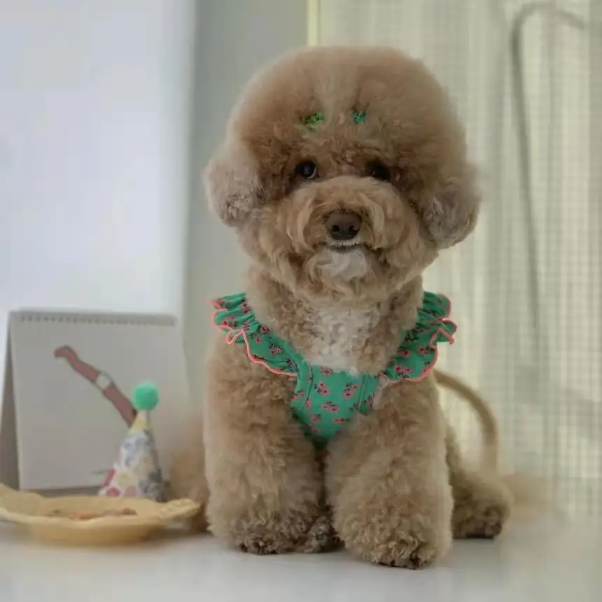 Chaleco Floral bonito para mascotas, chaleco con mangas voladoras para perro, gato, hongos, flor pequeña, oso de peluche, suministros de ropa para mascotas, ropa para perros - imagen 3