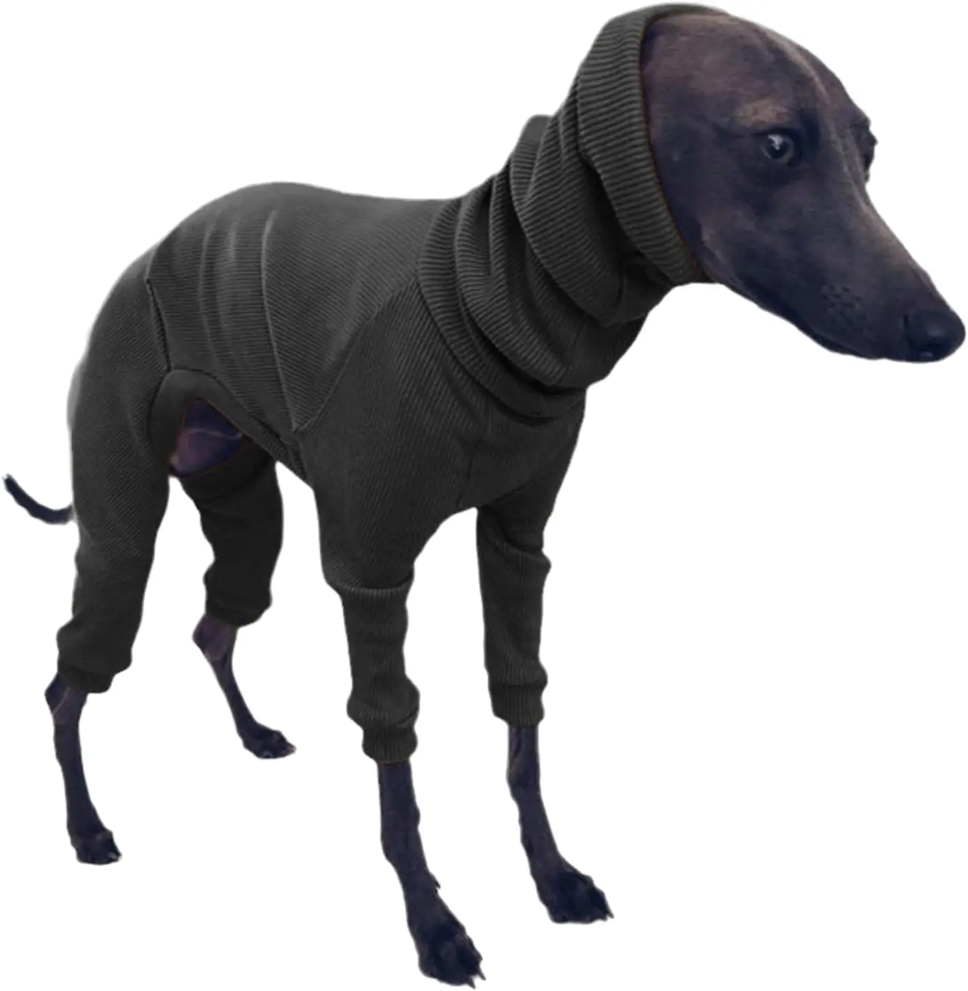 Ropa de galgo italiano Whippet, mono ligero para perros medianos y grandes, pijamas de cuello alto para mascotas, monos para pastor - imagen 4