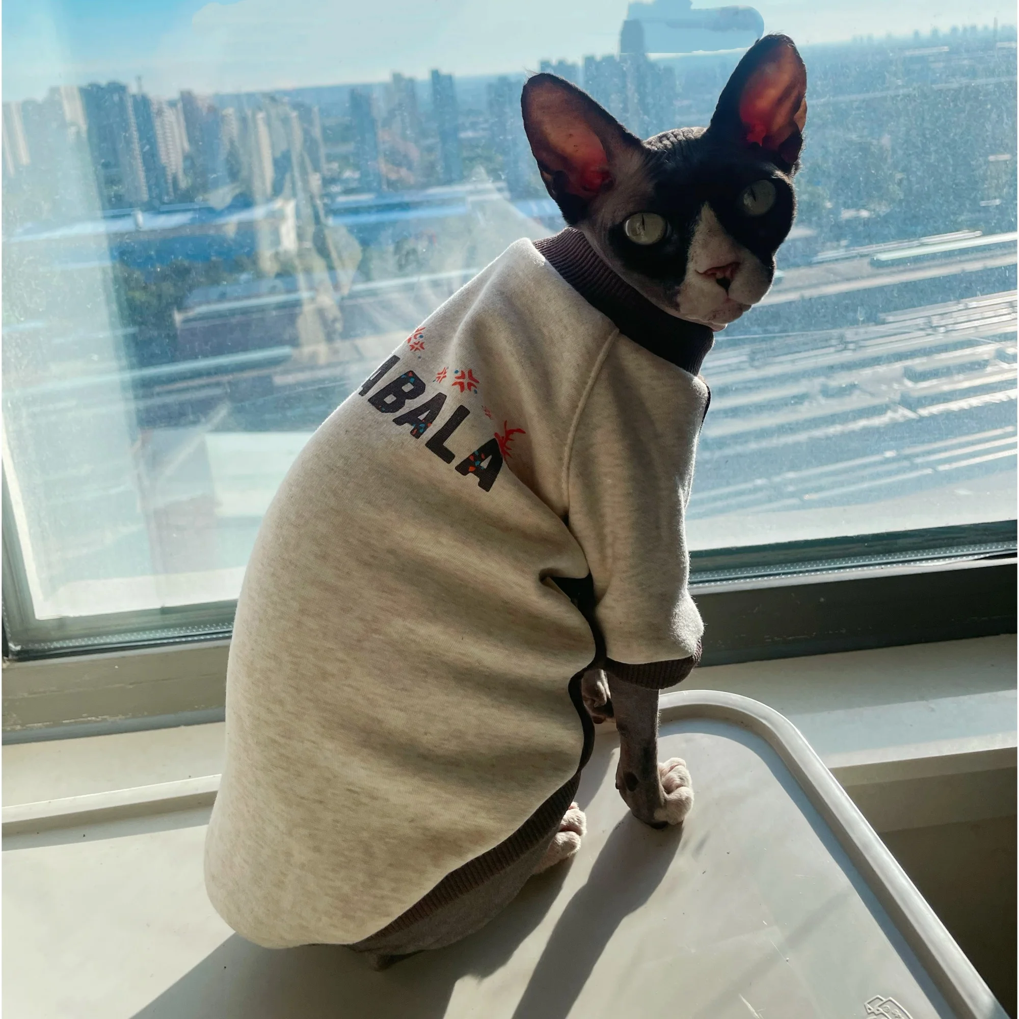 Sudadera de lana gris a la moda para gato Sphynx en invierno, abrigo cálido de manga larga para Devon Rex, pijamas elásticos de otoño para gatitos