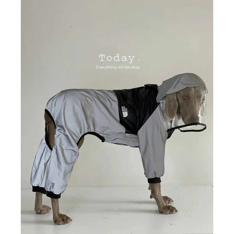 Chubasquero impermeable para perros, chaqueta de lluvia para Golden Retriever, Labrador, Doberman, ropa para mascotas al aire libre para medios, perros grandes