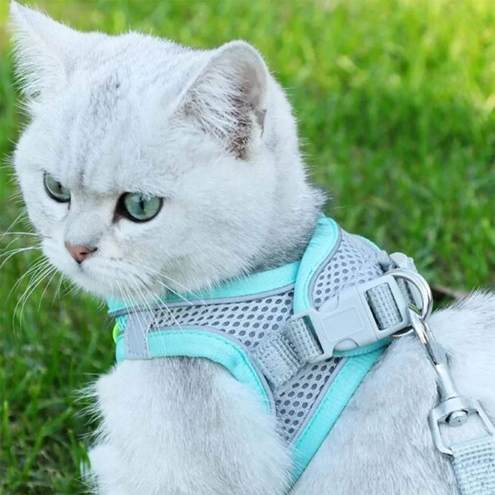 Arneses para perros cuerda cachorro perro Collar ropa chaleco pecho reflectante y transpirable ajustable al aire libre caminar productos para mascotas - imagen 2