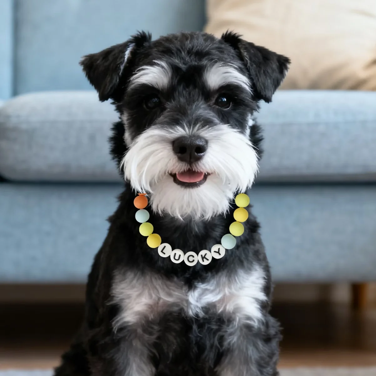 Collar con nombre de cuentas para mascotas de primera calidad, conjunto de pulsera de la amistad, Collar personalizado con cuentas para perro con nombre, Collar con cuentas hecho a mano para mascotas