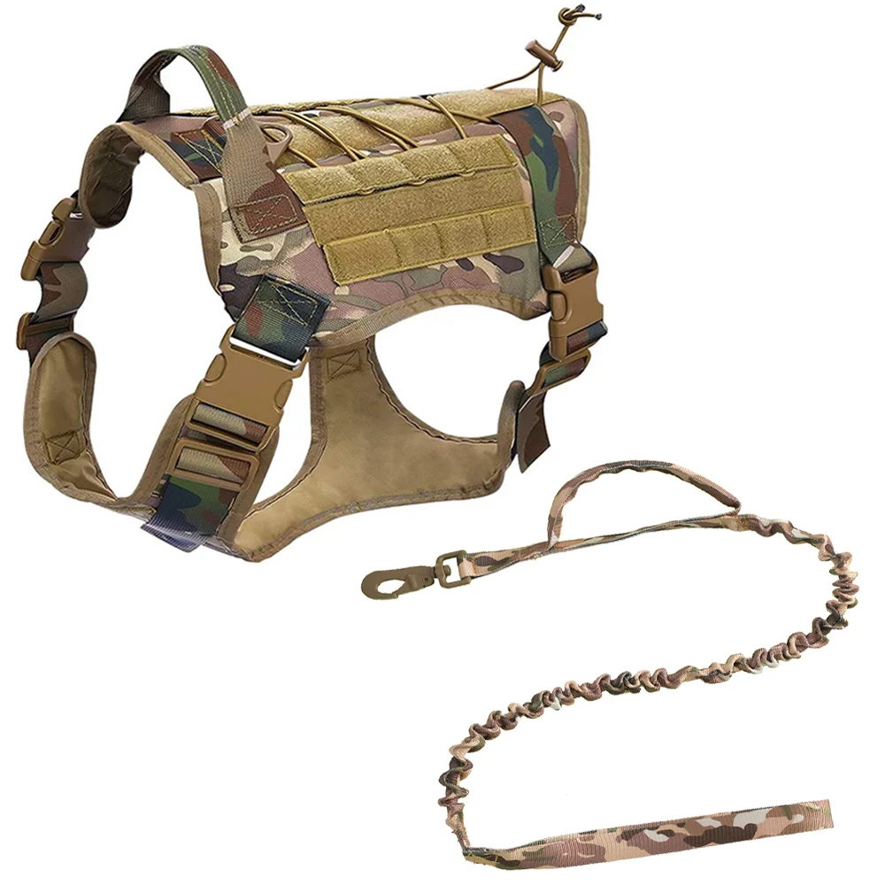 Harness-leash camo