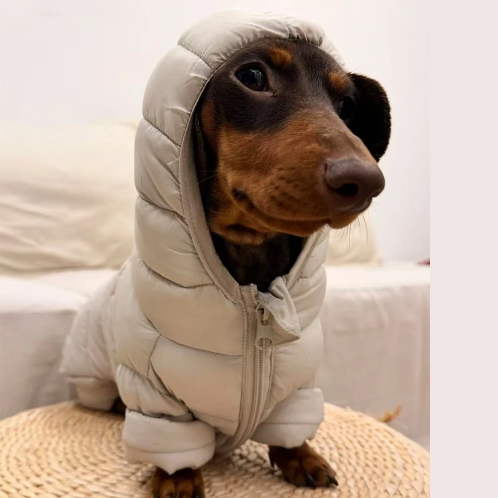 Abrigo invierno para perro pequeño – Chaqueta térmica con capucha - imagen 2