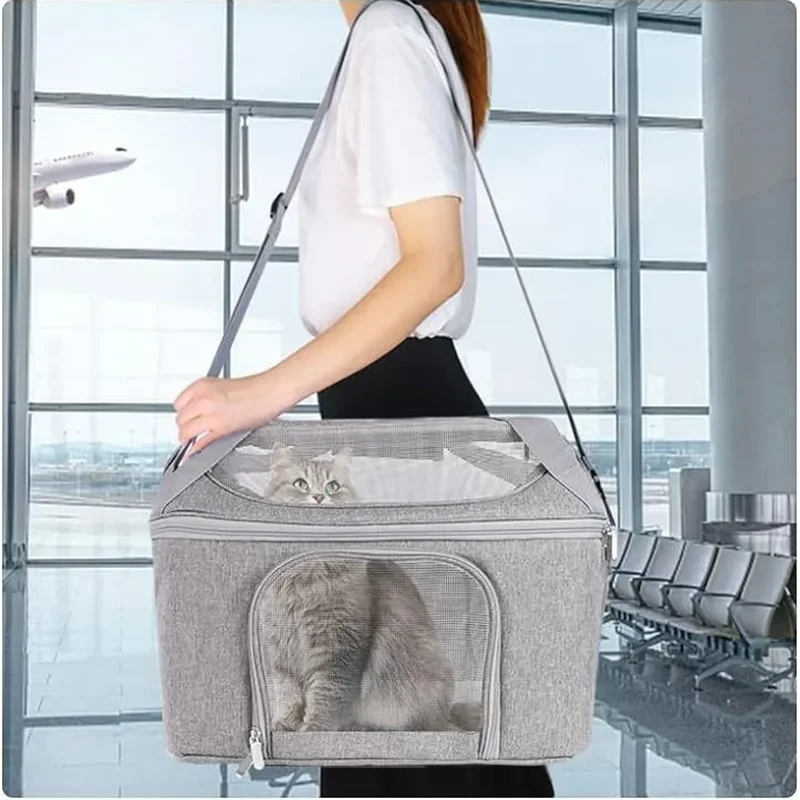 Mochila transportín para gato, grande y desmontable