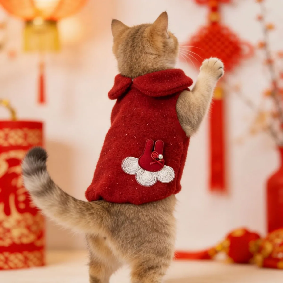 Abrigo peluche invierno estilo princesa para perros mini y cachorros - imagen 5