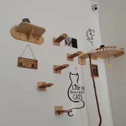 Rascador de pared para gatos con hamaca y estantes escalada