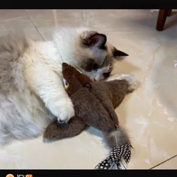 Juguetes interactivos para gatos, pájaro batiente recargable (sin volar) con hierba gatera para gatos de interior, juguetes de peluche activados por tacto