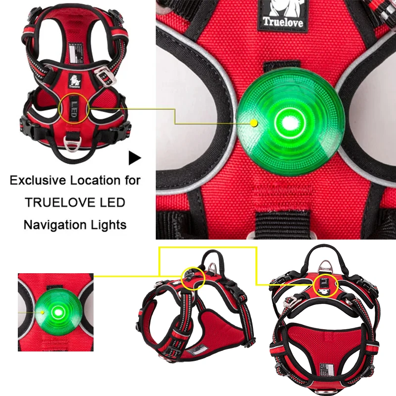 Winhyepet-chaleco reflectante para mascotas, arnés acolchado de nailon ligero, ropa protectora de entrenamiento para perros pequeños y grandes - imagen 2