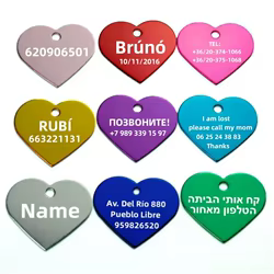 Etiqueta colgante con grabado láser para mascotas, etiqueta de identificación de perro, gato, cachorro, nombre personalizado, Collar antipérdida, 2 piezas