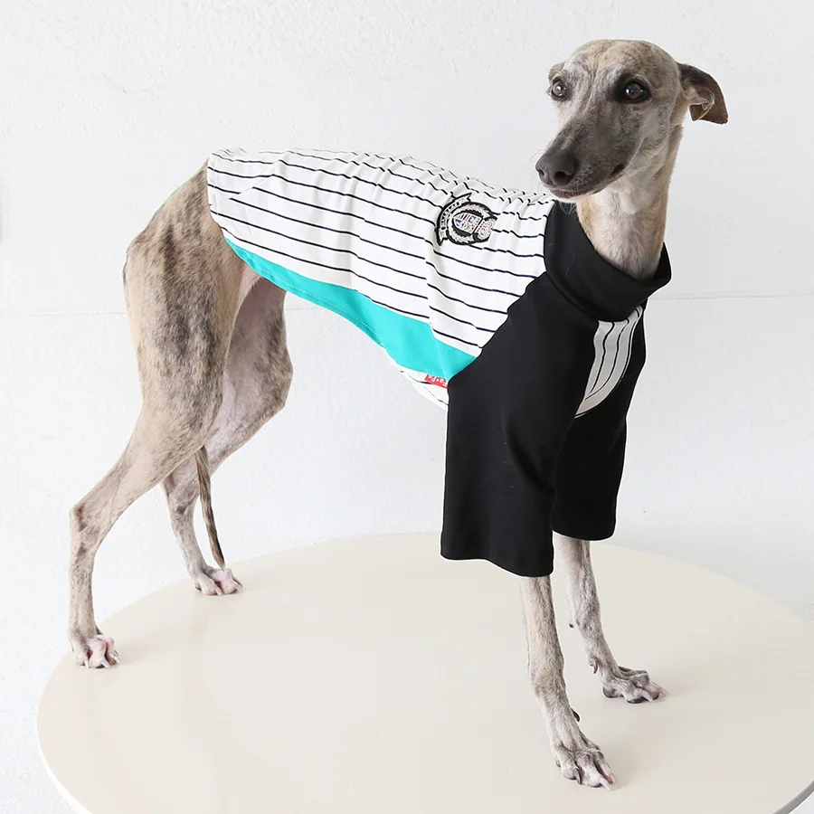 Camiseta transpirable vintage para galgo italiano y whippet verano - imagen 2