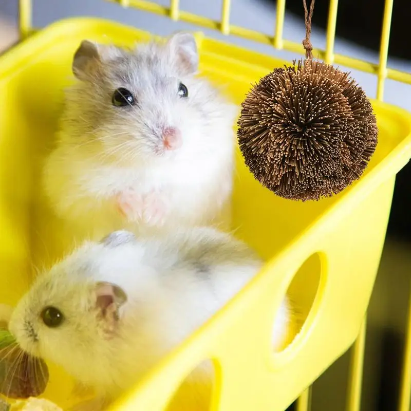 Bolas para masticar conejos, bolas de hierba hechas a mano para encías y dientes de mascotas, animales pequeños, juguetes para el cuidado Dental, conejos, Chinchilla, Guinea - imagen 3