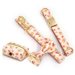 Pack collar y correa con bolsa para perros – estilo melocotón y miel