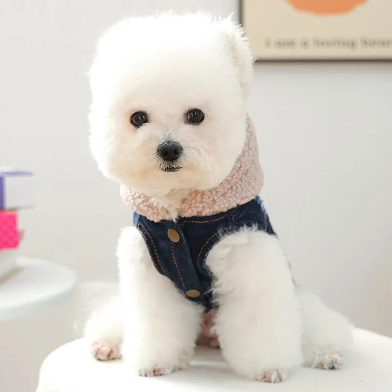 Chaqueta vaquera azul para primavera y otoño, sombrero de lana, disfraz, pantalones vaqueros sin mangas, ropa para perros pequeños, York, perro salchicha, ropa para mascotas, traje de abrigo - imagen 4