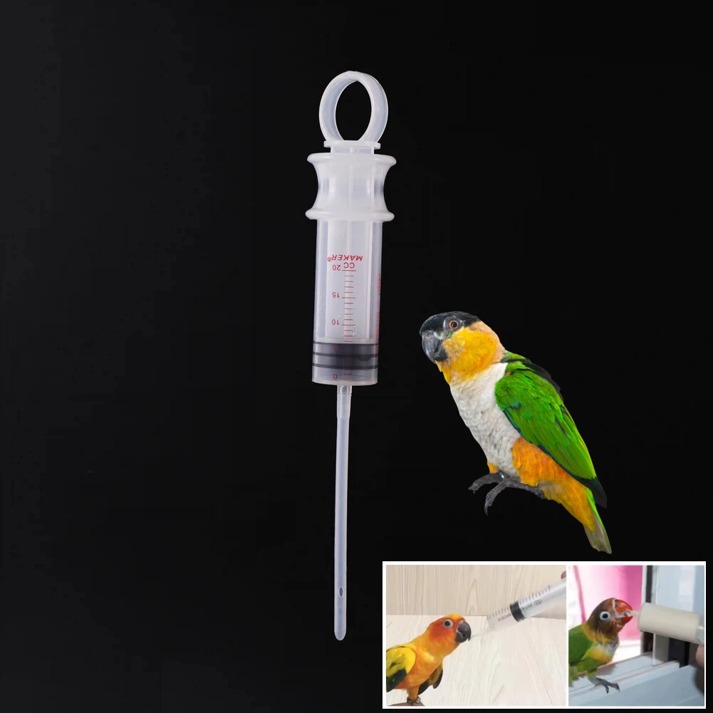 Alimentador de medicina líquida para aves de corral, 20ML, tubo de empuje para mascotas, loros, palomas, codornices, accesorios de alimentación de animales en inmaturados