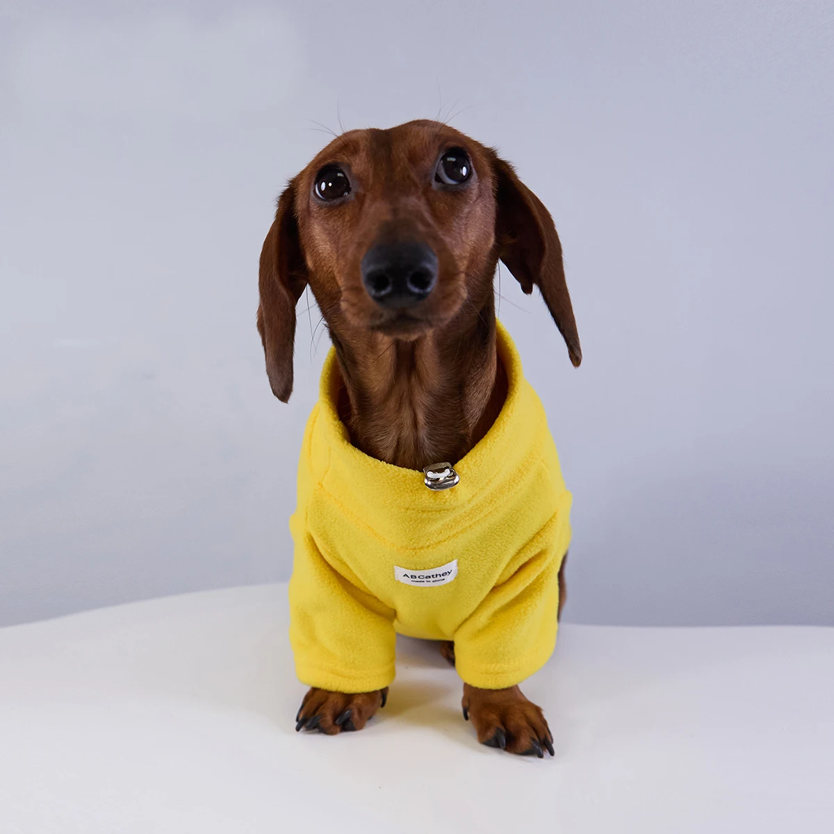 Sudadera de lana cálida de invierno para perros Wiener, ropa de moda suave y gruesa de otoño para perros salchicha, disfraz de 2 patas para perro salchicha - imagen 5
