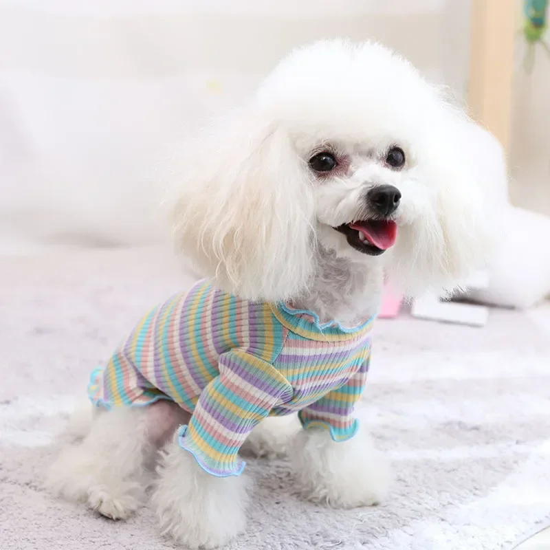 Camisa inferior a rayas de colores para otoño e invierno, ropa superior para mascotas de peluche, camisa inferior de punto de algodón, Sudadera con capucha, chaleco de dos pies para perro - imagen 3