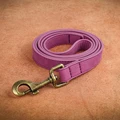 Purple Leash