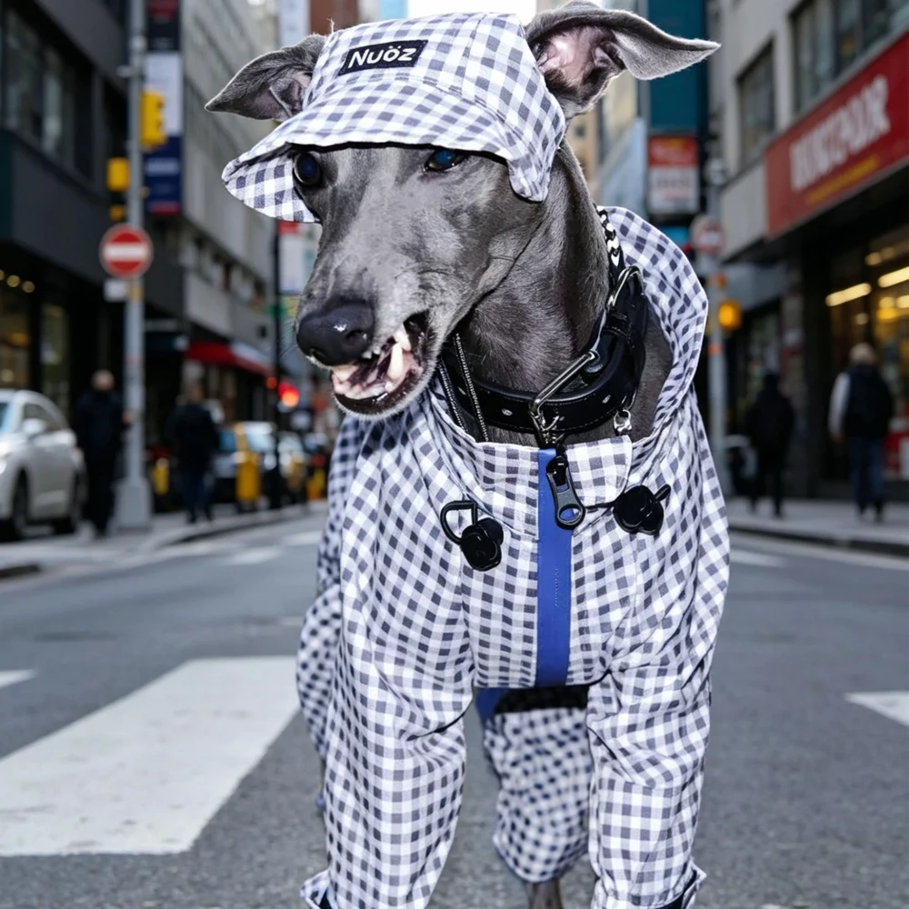 Chaqueta impermeable antiarañazos para perros Whippet y Galgo Italiano - imagen 3
