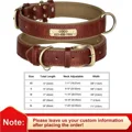 Brown Collars