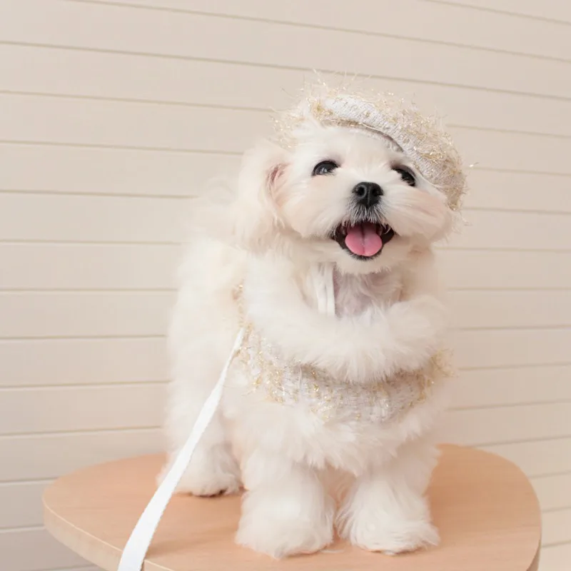 Abrigo de lana a cuadros para mascotas Ins, capa, suministros para mascotas, ropa de princesa para perros, arneses para perros con cuerda para perros pequeños - imagen 5