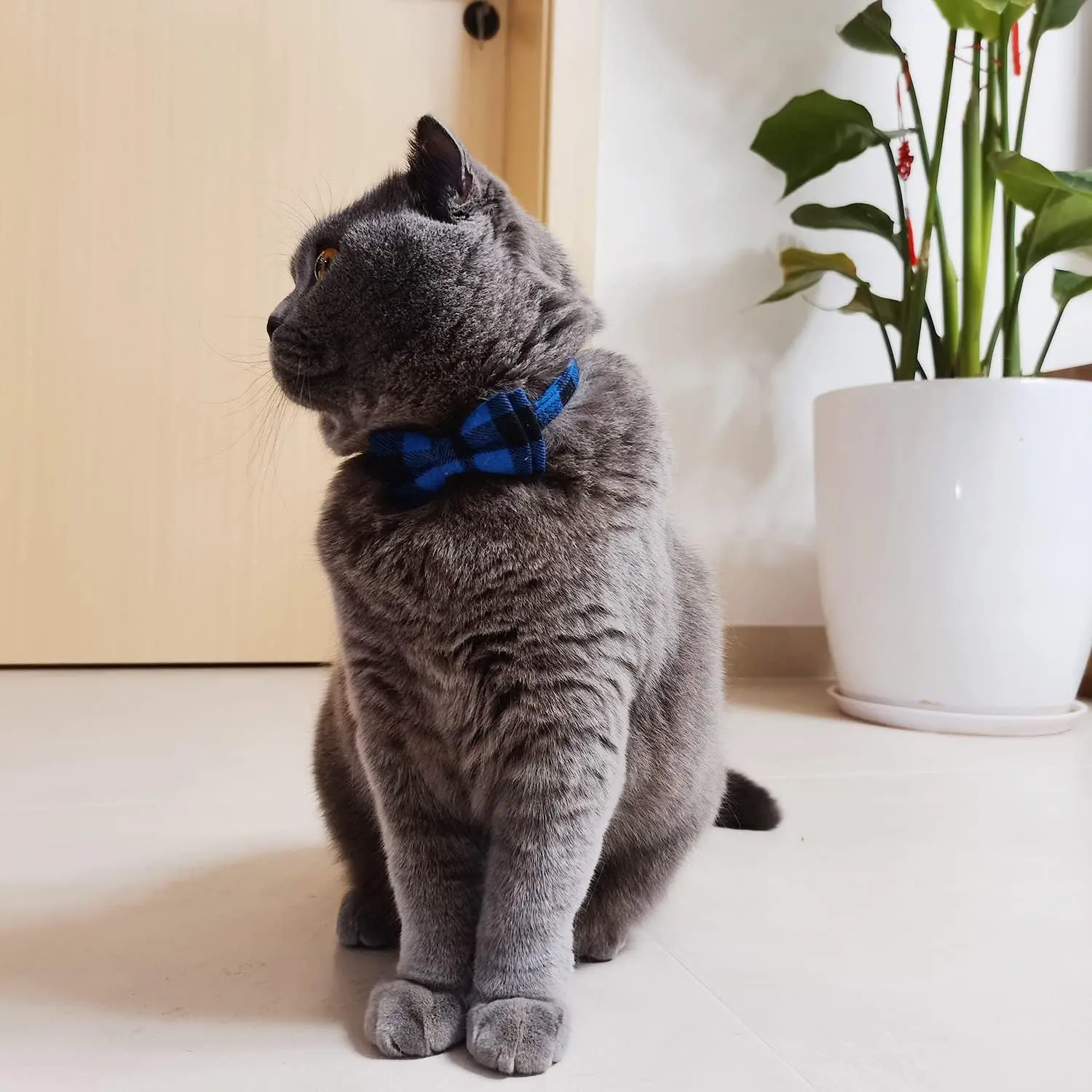 Collar de gato con campana y pajarita, diseño a cuadros, ajustable, seguridad, cachorro, gatito, collares de Navidad, accesorios para mascotas - imagen 4