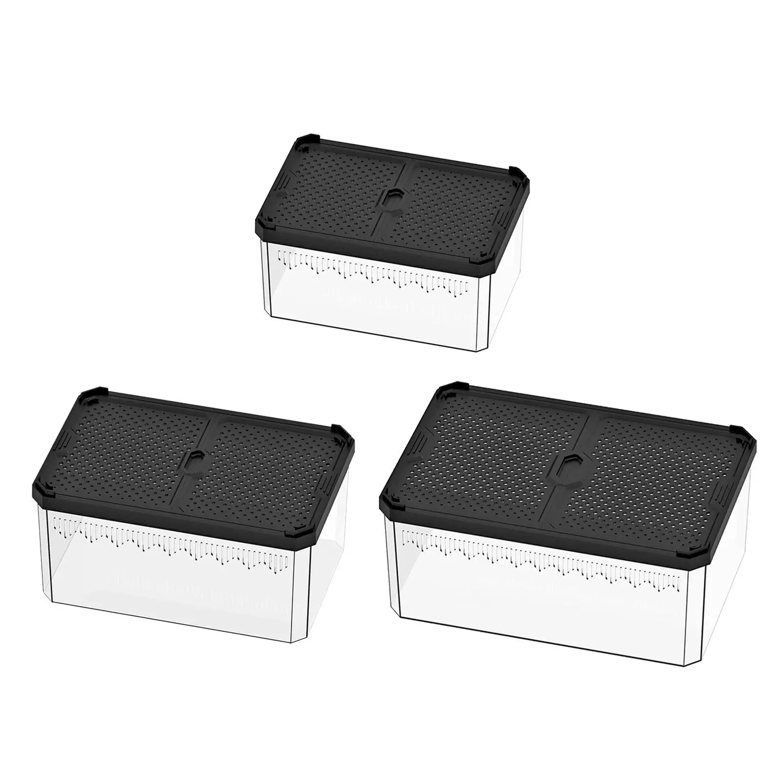 Reptile Feeding Box Aquarium Fish Breeding Box with Vents Reptile Container Display Box Clear Breeding Box for Gecko Scorpion