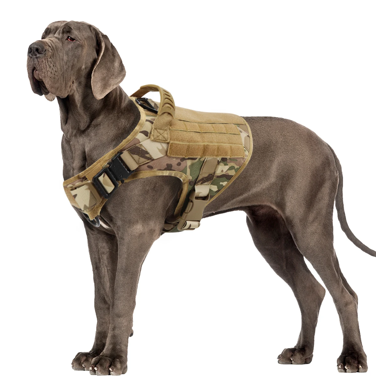 Arnés de entrenamiento para perros pequeños, chaleco táctico militar, accesorios para perros de mascotas, arneses para perros de razas pequeñas, suministros para mascotas para caminar