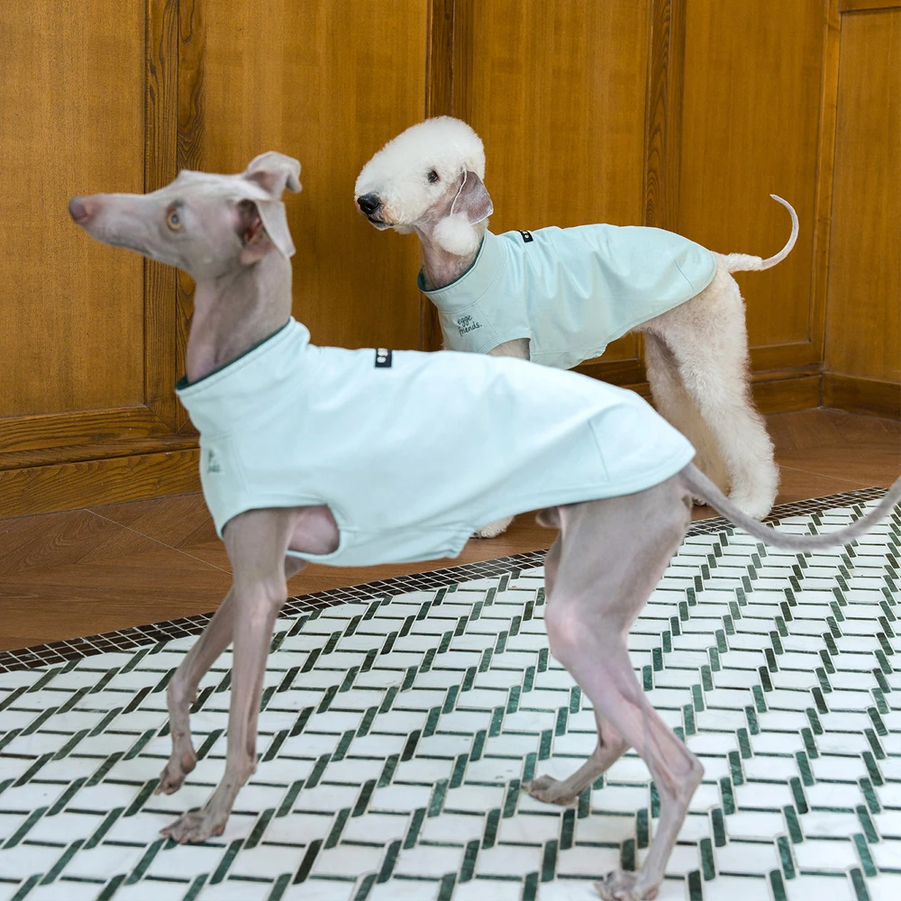 Chaleco antibacteriano para perros Galgo Italiano y Bedlington Terrier - imagen 5