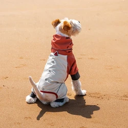 Ropa deportiva para perros: chaqueta impermeable para paseos