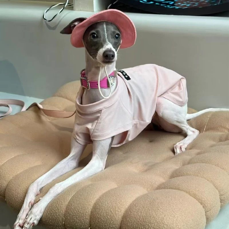 Sombrero de protección solar de pequeño galgo de verano, sombrero para exteriores con agujeros para las orejas, gorra ajustable para Whipbit, sombrero fresco transpirable para perros pequeños multimedia - imagen 2