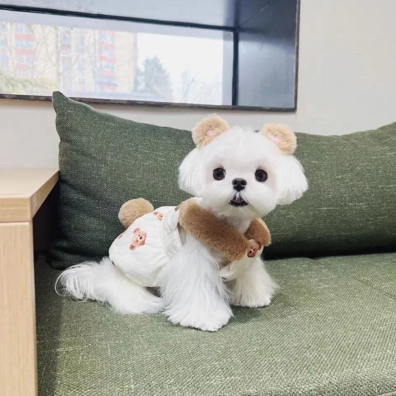 Abrigo para perro oso, chaqueta, ropa para mascotas, ropa para perros con estampado suave más grueso, chaleco de felpa, ropa cálida de invierno con dibujos animados para perros, Chihuahua - imagen 4