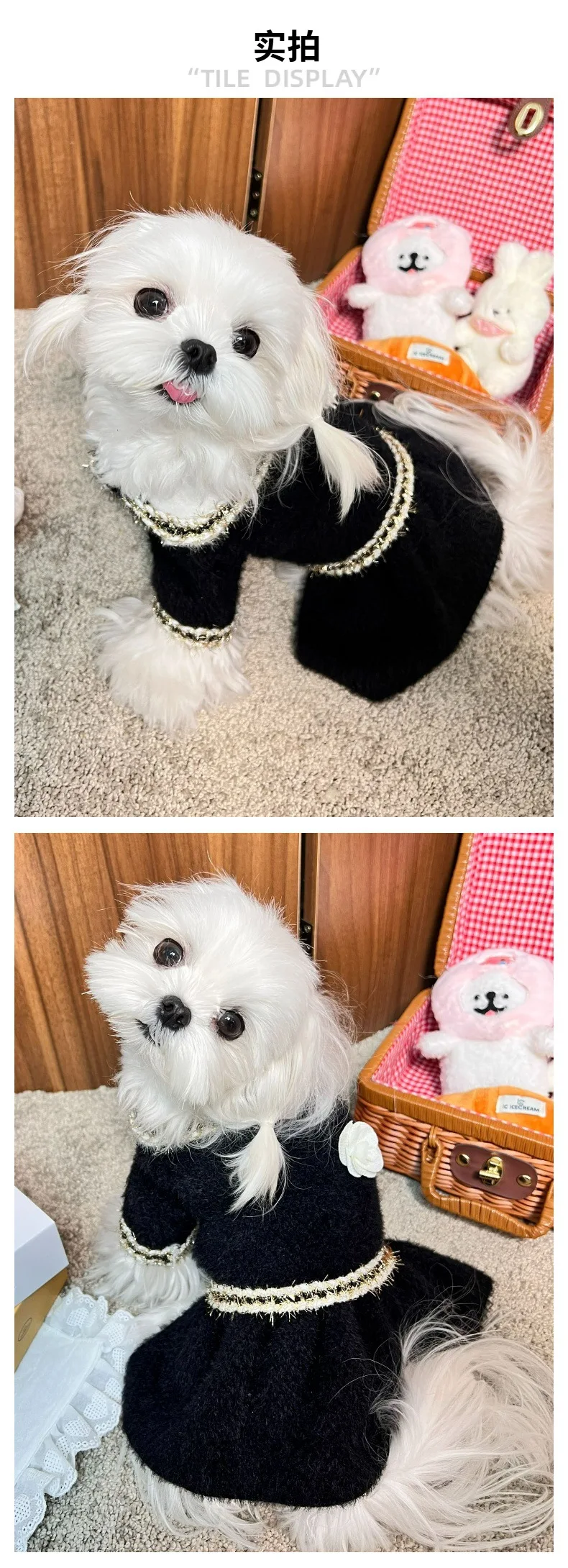 Perro con vestido de princesa