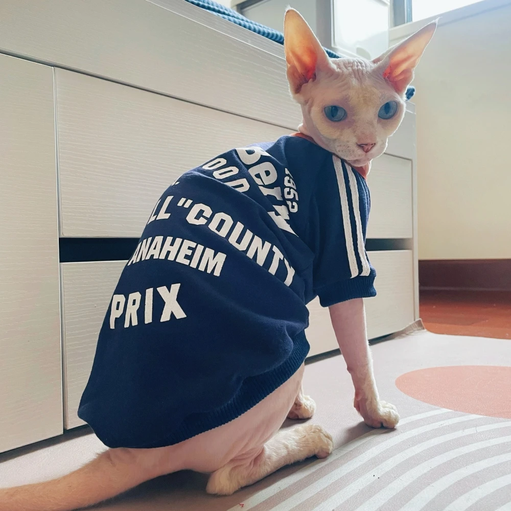 Abrigo de algodón con alfabeto azul para gato masculino en otoño, sudadera de manga larga con dibujos animados para gato Sphynx, camiseta de primavera para perros Devon - imagen 2