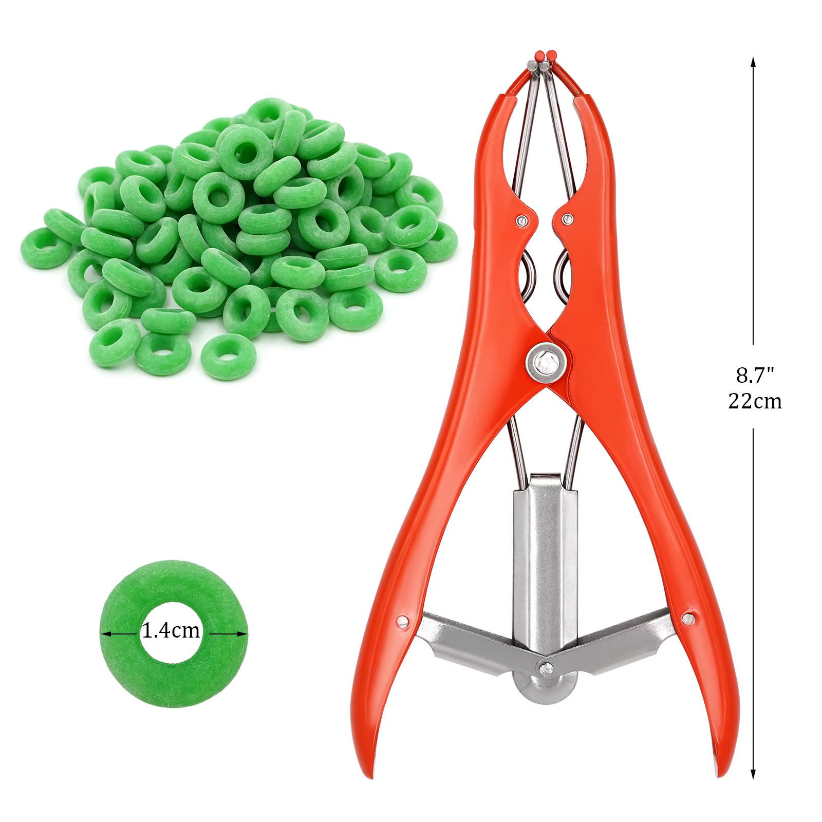 Anillo de castración para lechones | Kit de herramientas para cerdos