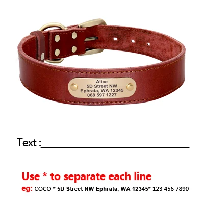 Set collar correa cuero - Personalizado PET ARTIST - imagen 5