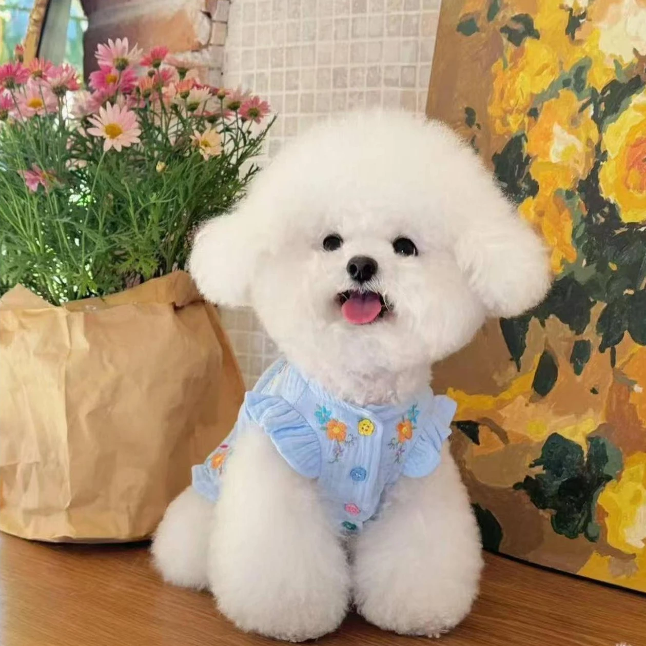 Chaleco bordado de primavera para mascotas, falda de manga voladora de peluche Yorkshire, ropa para cachorros, ropa para perros pequeños - imagen 2