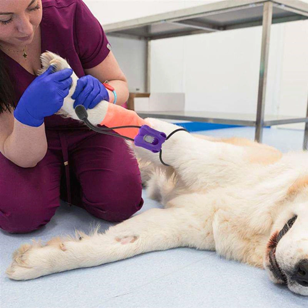 Torniquete plástico para perros y gatos – Banda presión pulso segura - imagen 2