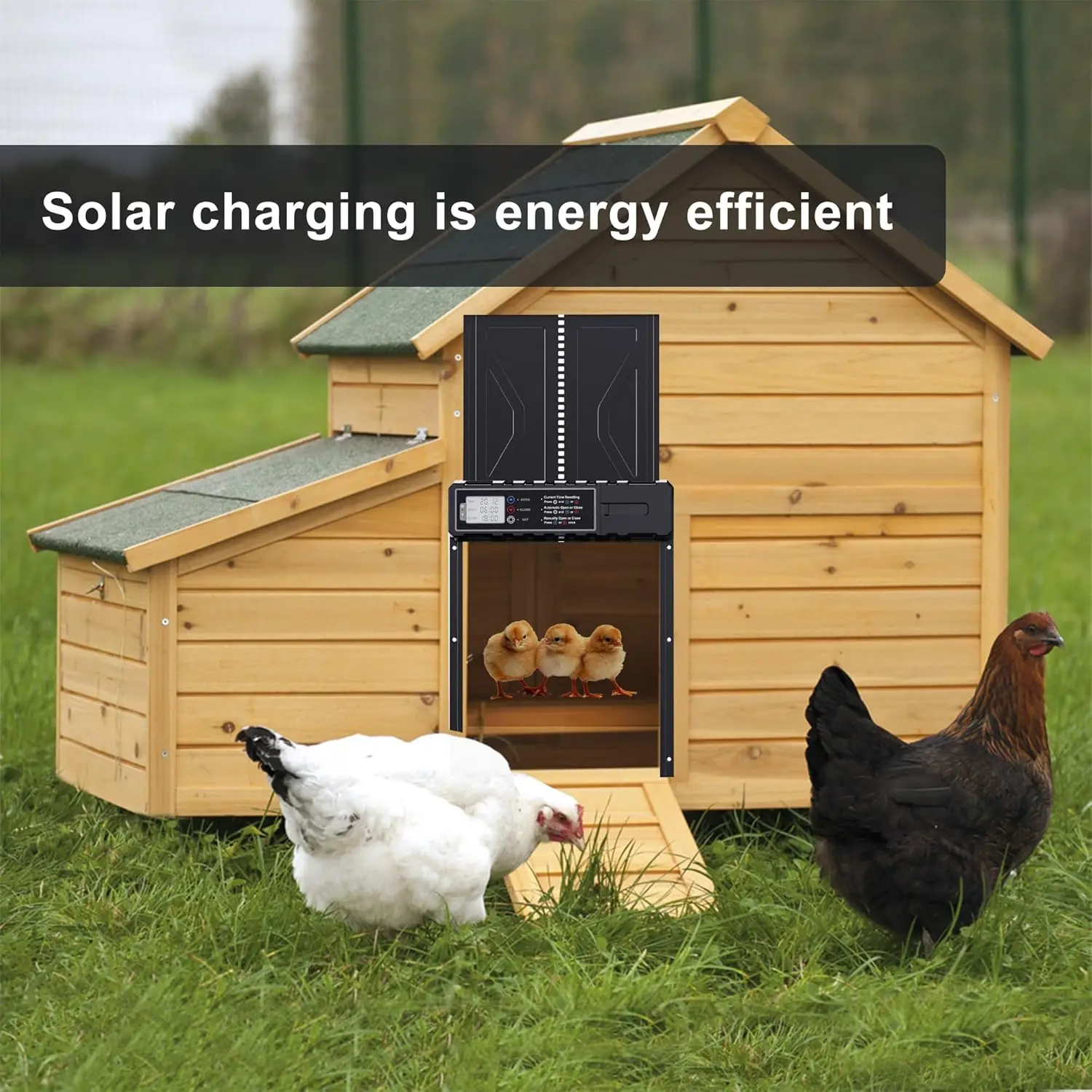 Puerta automática solar para gallinero con sensor de luz y temporizador - imagen 3