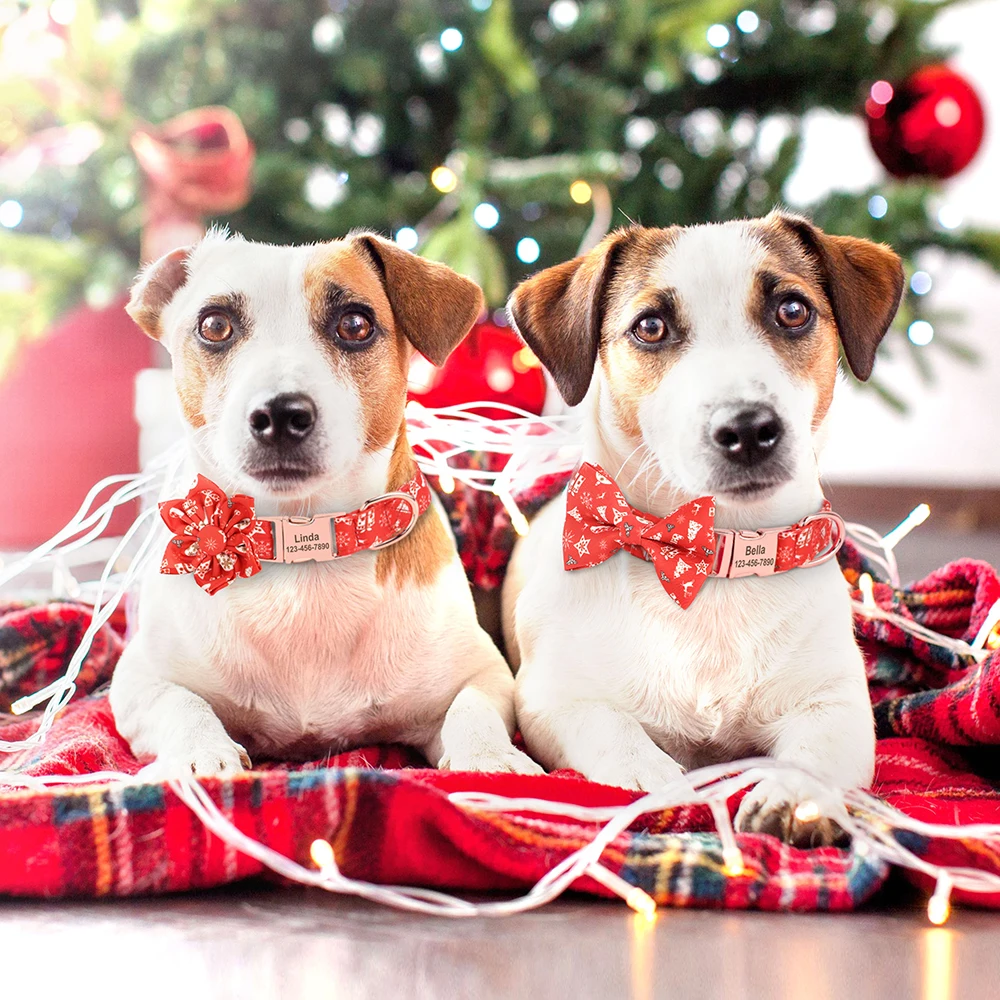 Collar personalizado de Navidad para perros pequeños, medianos y grandes, etiqueta de identificación con nombre, accesorios para mascotas, grabado gratis - imagen 5