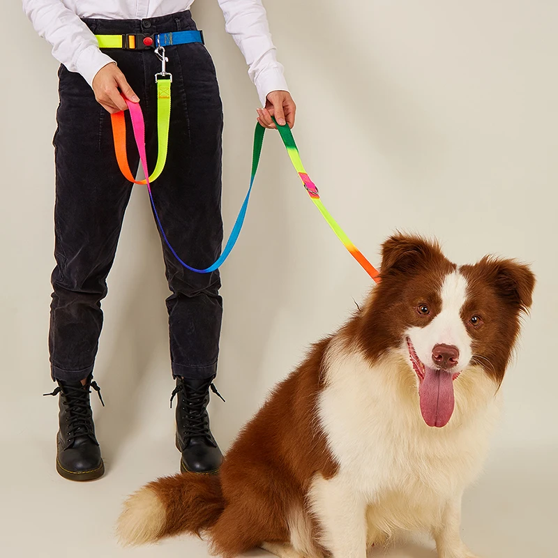 CAWAYI KENNEL-correas de nailon para mascotas, cuerda de tracción con cintura libre, manos libres, cadena a prueba de explosiones para perros grandes - imagen 2