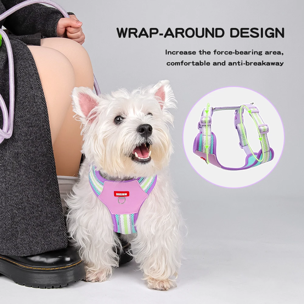 Conjunto de arnés y correa para perros de dopamina, chaleco ligero y transpirable con bloques de Color para mascotas para perros pequeños y medianos, para caminar al aire libre - imagen 5