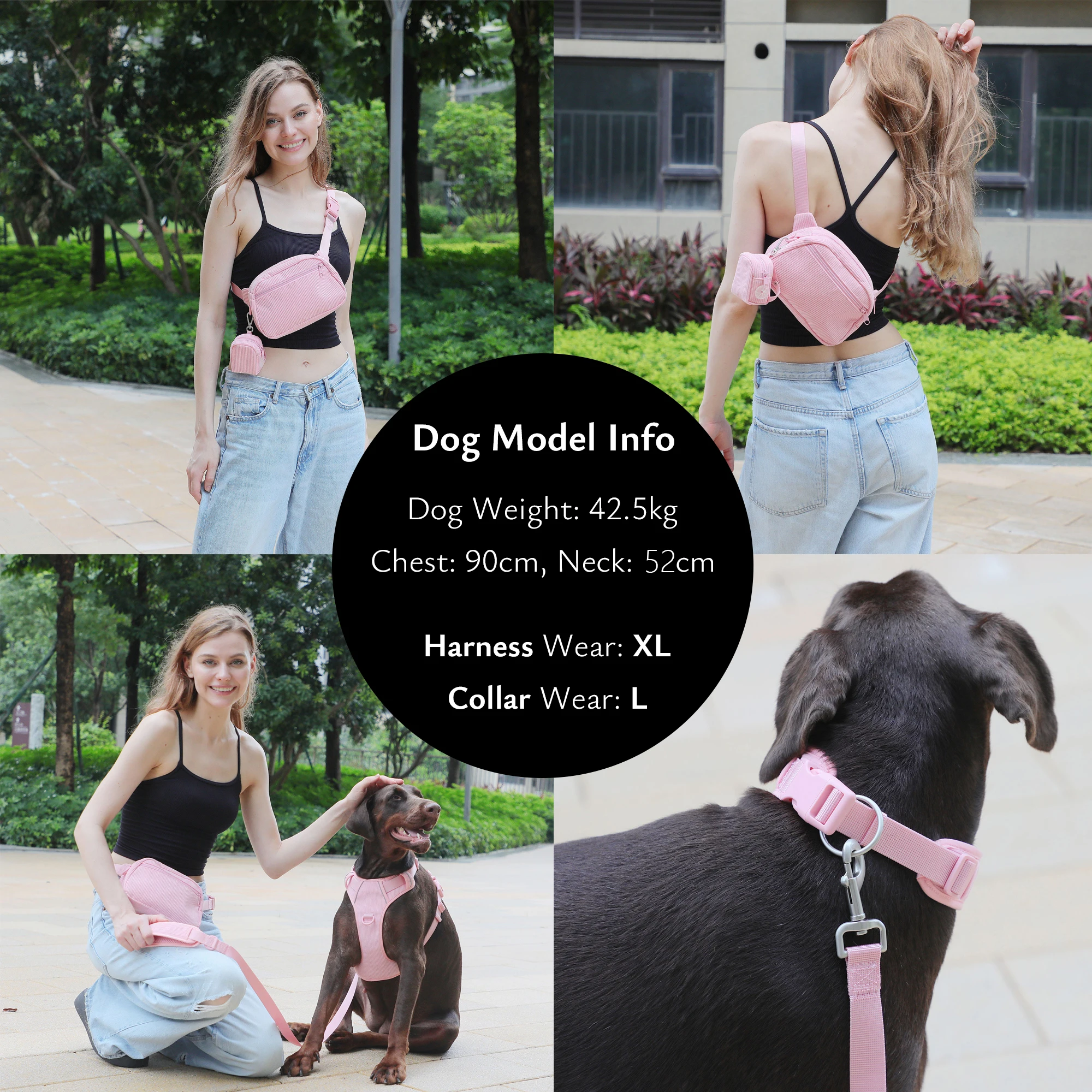 Conjunto de arnés para perro personalizado, Collar de perro personalizado de diseñador de lujo, bolsa para caca con bolsa para caminar, chaleco reflectante sin arnés - imagen 3