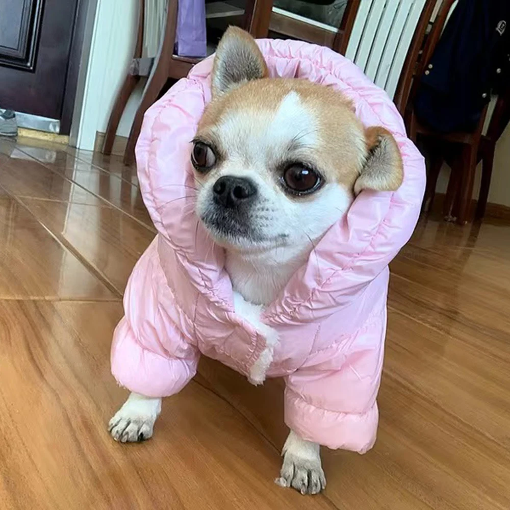 Ropa de invierno para perros y niños con hebilla, mono impermeable para mascotas, general para perros pequeños, peleles para Chihuahua y Yorkies, chien vetement - imagen 3