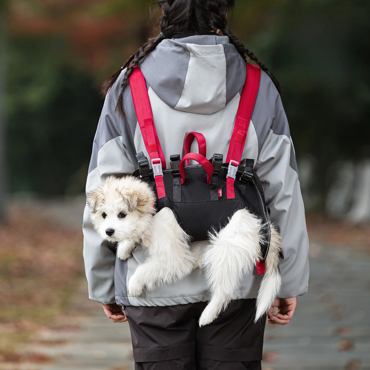Transportín bandolera plegable para gatos y perros pequeños - imagen 3