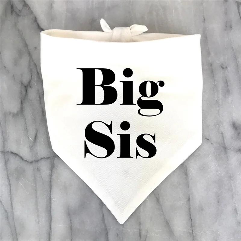 Big Bro Big Sis Bandana para perro, anuncio de embarazo, pañuelo para perro, revelación de género, utilería para fotos, bufanda para mascotas, accesorios para mascotas - imagen 3