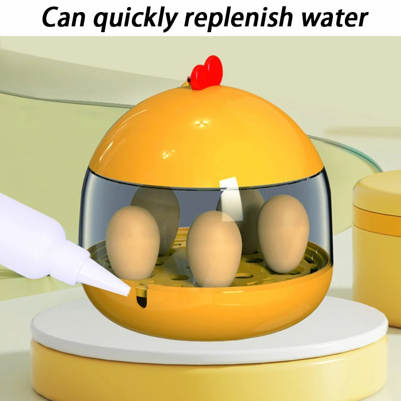 Incubadora con temperatura constante para huevos de gallina – Observación y cria - imagen 4