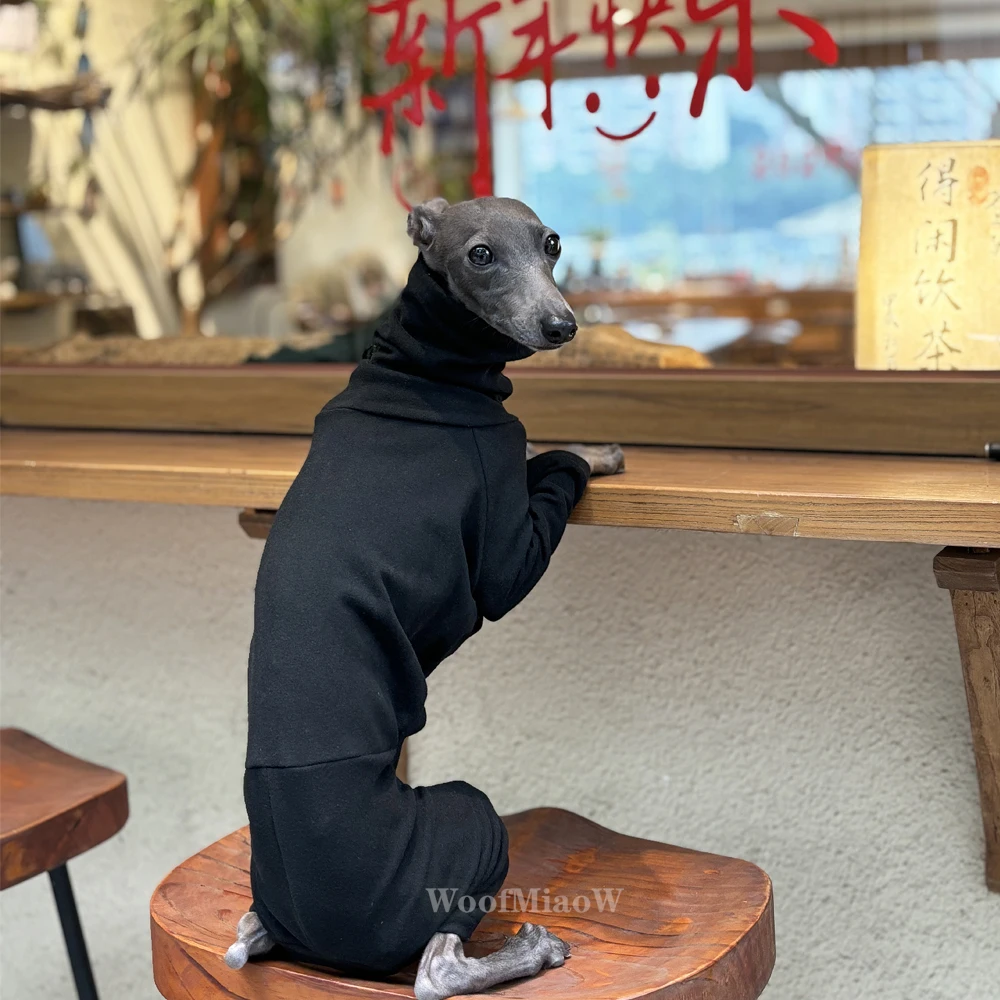 Ropa de cuatro patas de galgo italiano, ropa para perros de Color puro, elástica, suave y cómoda, Multicolor, a la moda - imagen 2