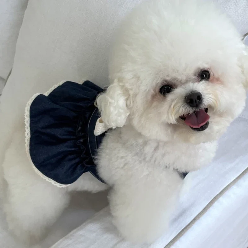 Falda vaquera para perros a la moda, ropa para parejas de primavera y verano, vestido de peluche, ropa transpirable para cachorros con apliques de perlas y lazo - imagen 4